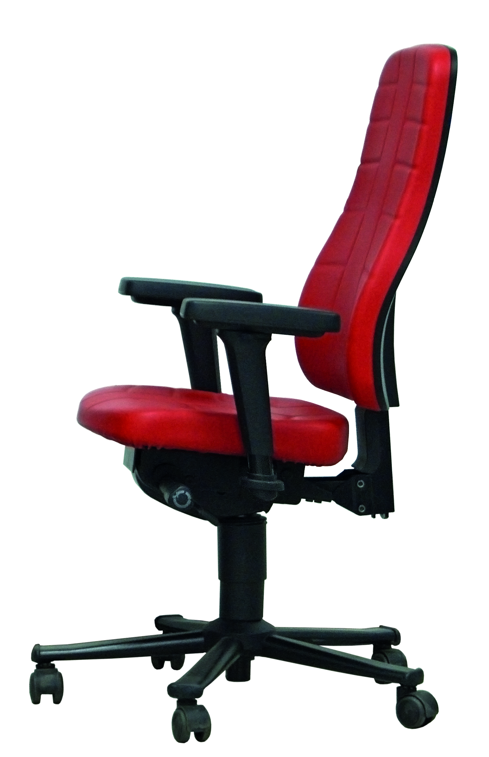 All-in-One Highline